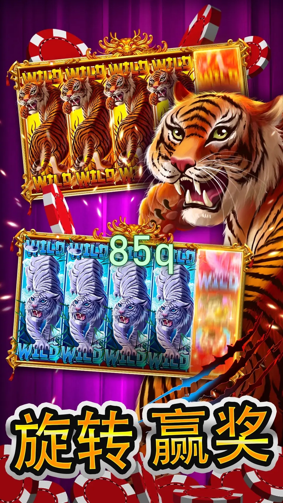 85q Login